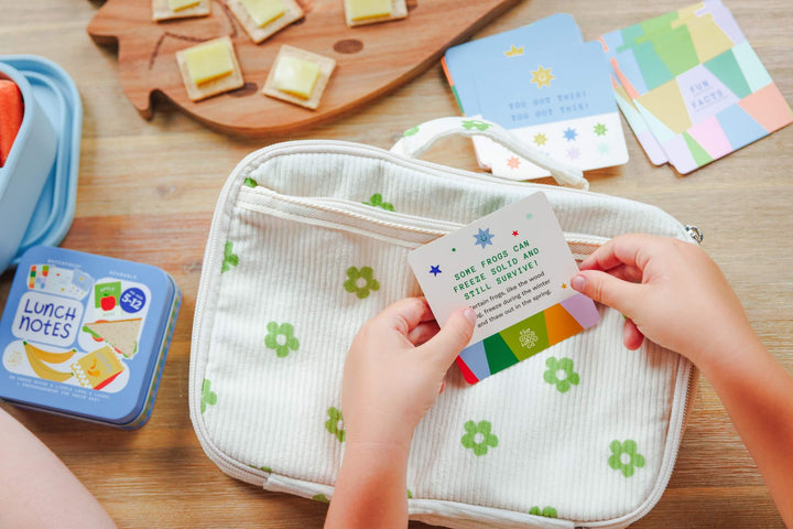 Person holding a lunch box with educational cards on a wooden surface